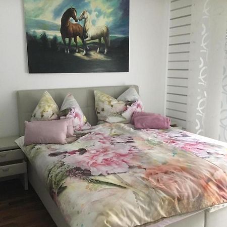 Apartment Elfi 莱布尼茨 外观 照片