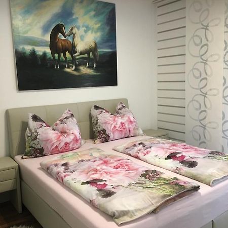 Apartment Elfi 莱布尼茨 外观 照片