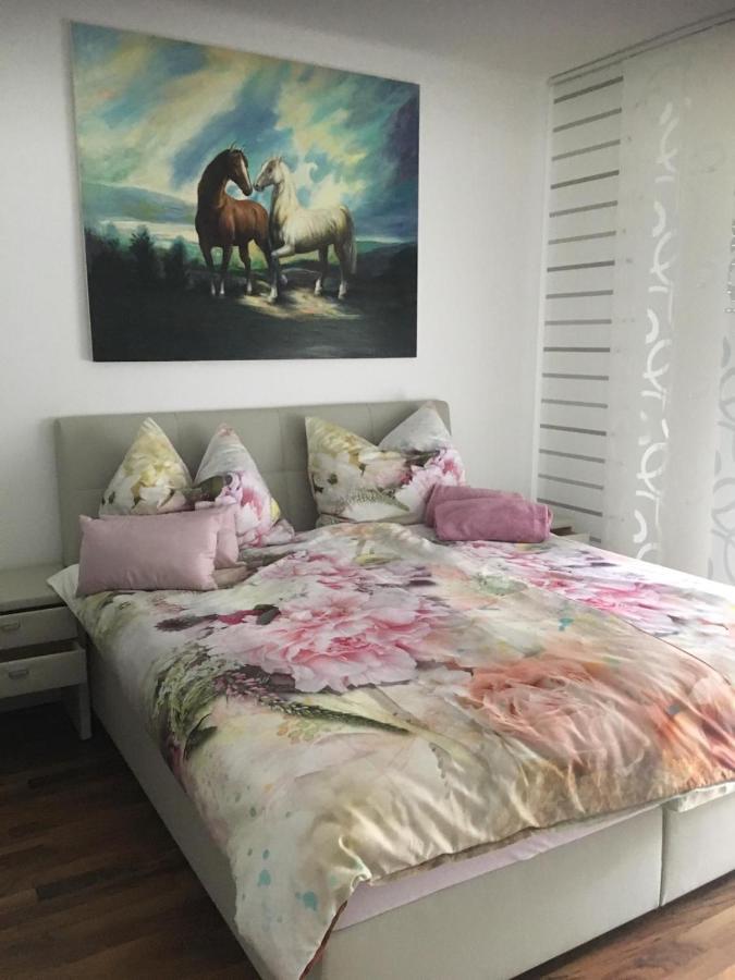 Apartment Elfi 莱布尼茨 外观 照片