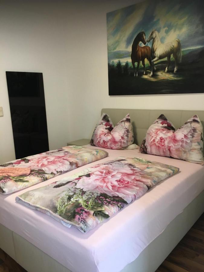 Apartment Elfi 莱布尼茨 外观 照片