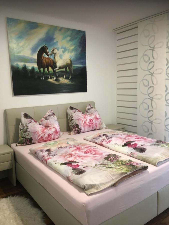 Apartment Elfi 莱布尼茨 外观 照片